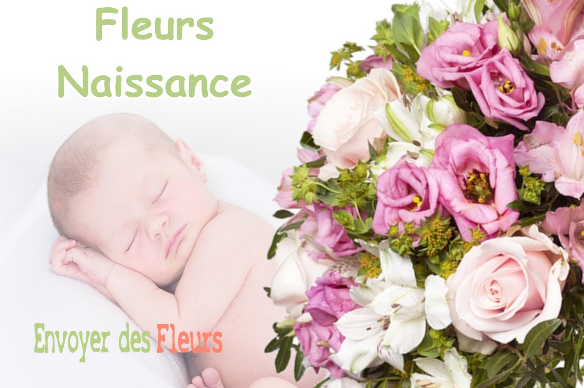 lIVRAISON FLEURS NAISSANCE à LE-ROVE